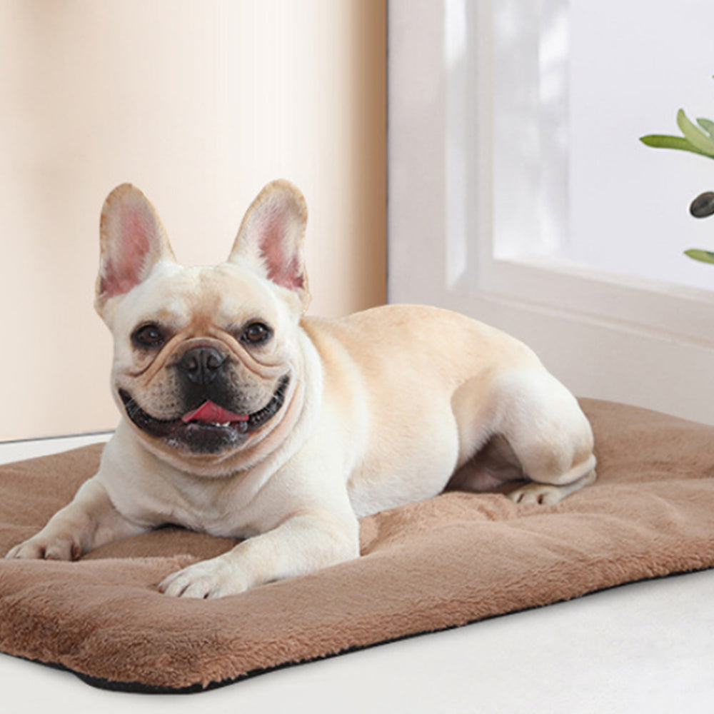 Self-Heating Pet Blanket