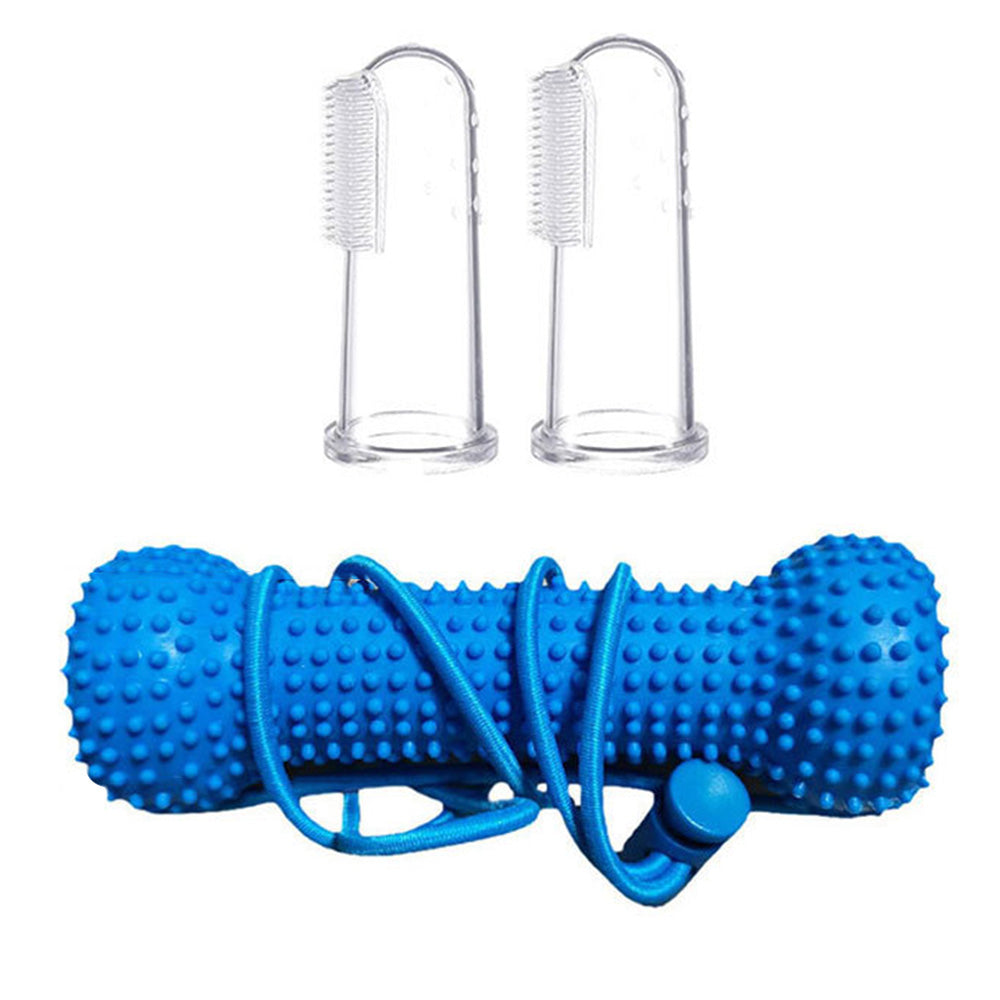 Durable Rubber Bone Dog Chew Toy with 2 Toothbrushes for Training & Solo Play