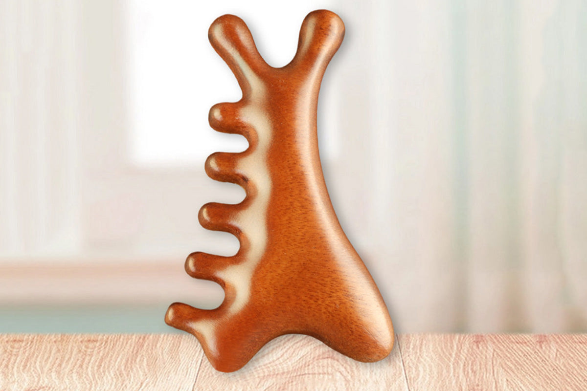 4 In 1 Gua Sha Tool Wooden Head Massage Comb Scalp Comb For Head Neck Face Care