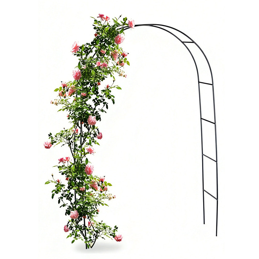 Powder Coated Steel Garden Arch Support for Climbing Vines