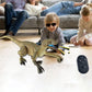 2.4G Dinosaur Toy Remote Control Walking Roaring Velociraptor