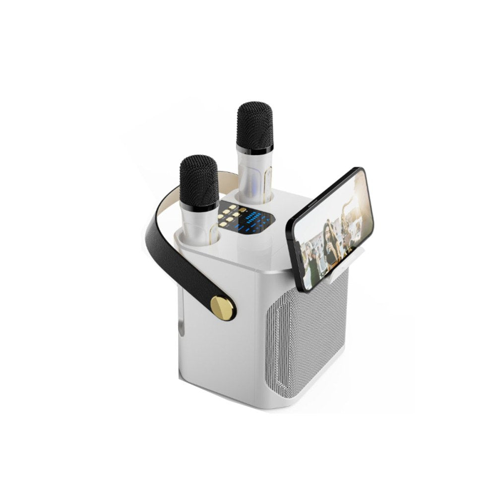 Karaoke Machine with 2 Wireless Mics Bluetooth Portable Karaoke Speaker