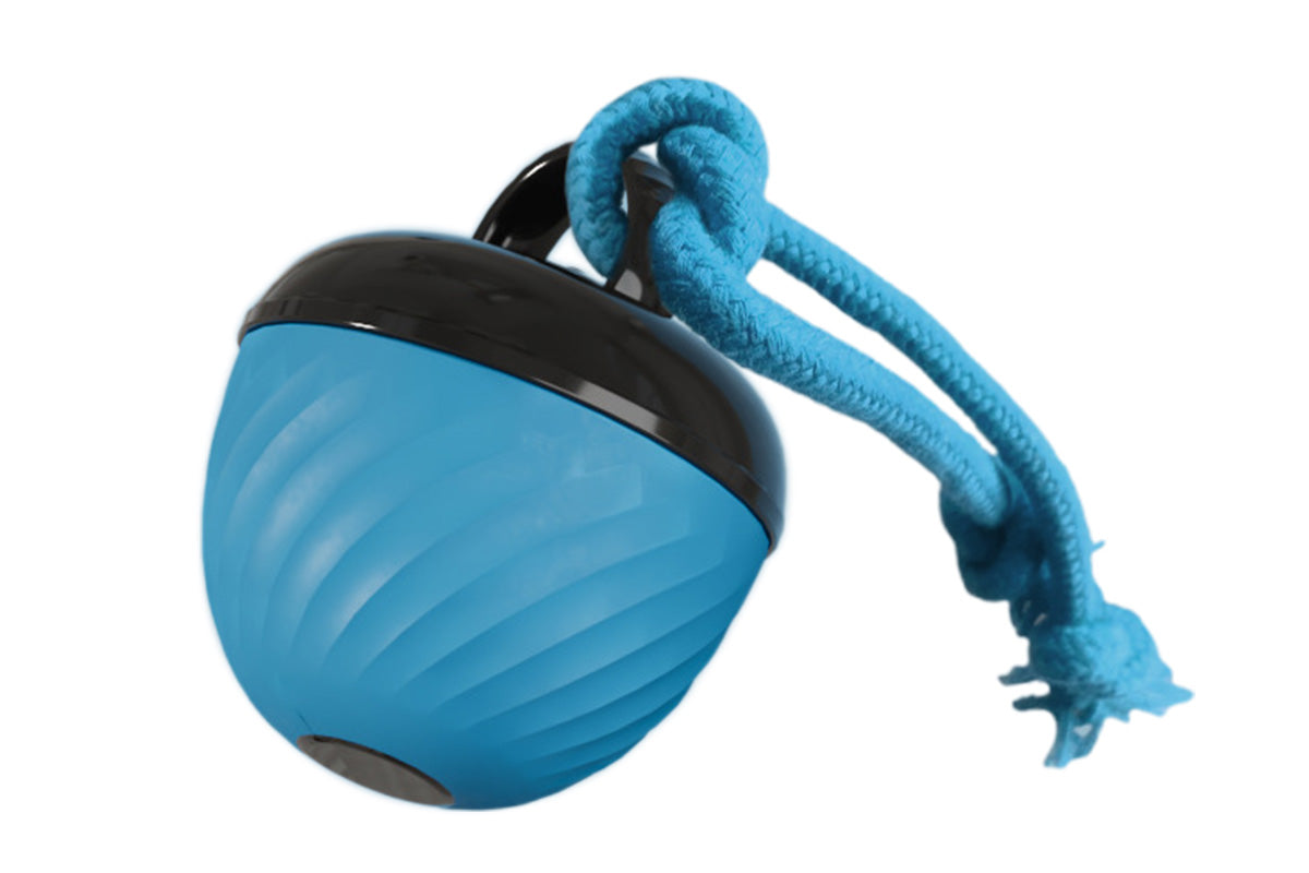 Squeaky Dog Toy Active Rolling Ball Interactive Dog Toys With Motion Activated