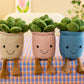 Potted Succulent Plush Stuffed Toy