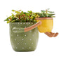 2-In-1 Resin Flower Pot with Drainage Hole