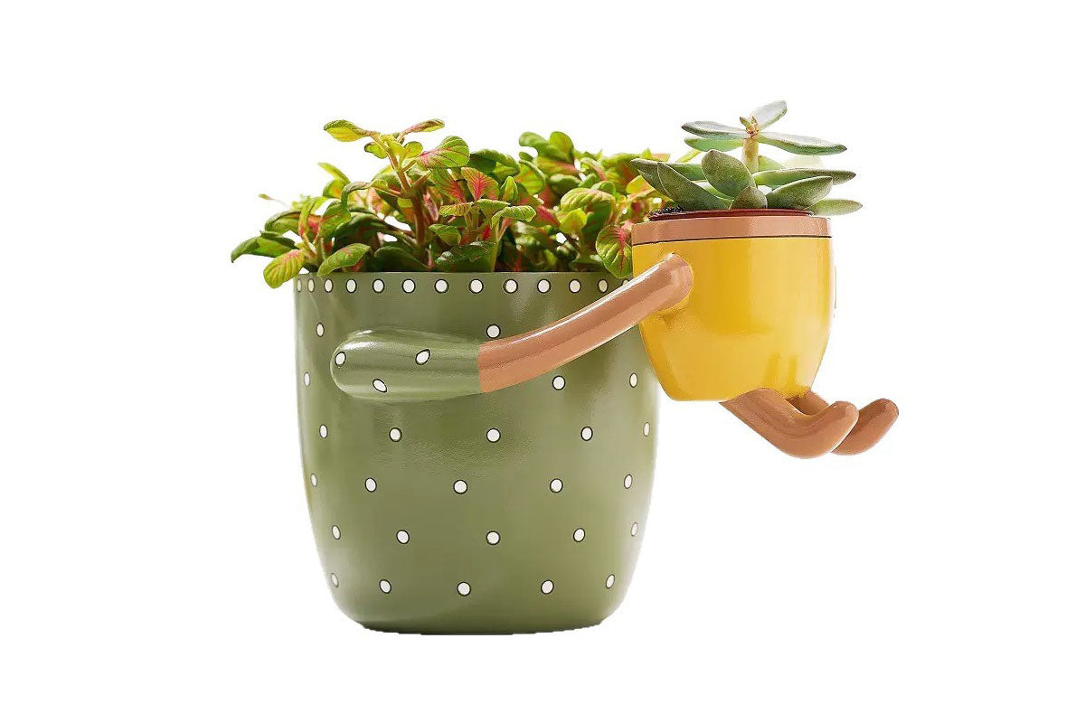 2-In-1 Resin Flower Pot with Drainage Hole