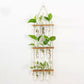 3 Tiered Wall Hanging Terrarium With Wooden Stand Hanging Tube Glass Vases