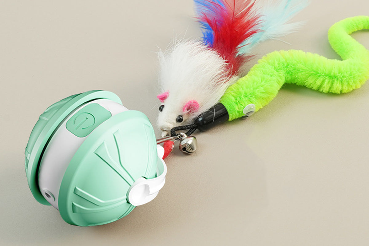 Interactive Dog Toys Electric Automatic Smart Pet Toys Rolling Ball Toys For Small Dogs