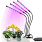 Grow Light for Indoor Plants with 9 Dimmable Levels Red Blue Spectrum Plant Light