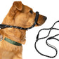 Black Dog Lead with Padded Nose Loop Anti-Pull Training Leash for Medium and Large Dogs