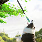 Interactive Dog Rope Toy with Elastic Bungee and Chew Ball for Indoor Outdoor Play