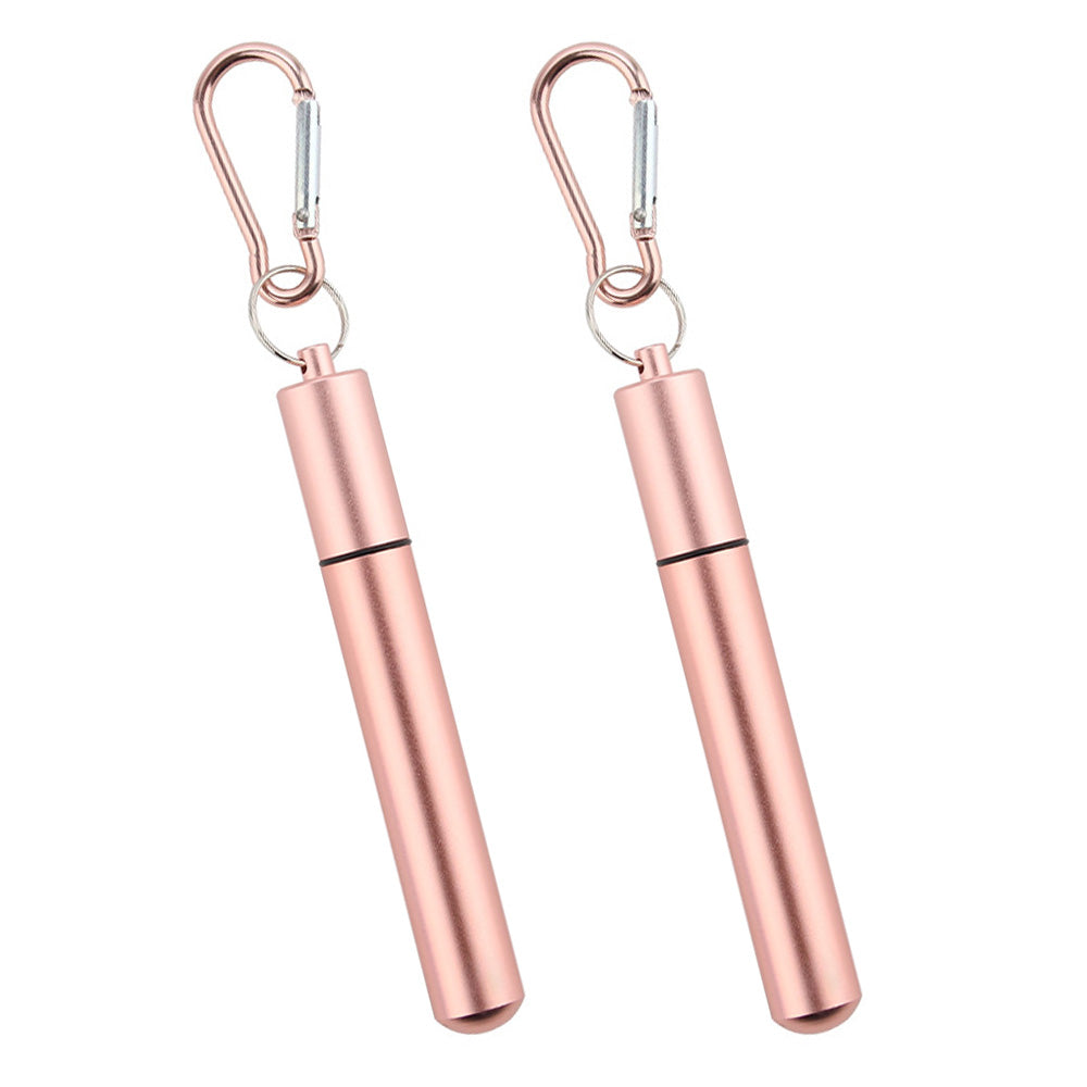 2 Pack Collapsible Stainless Steel Travel Straws with Keychain Cases