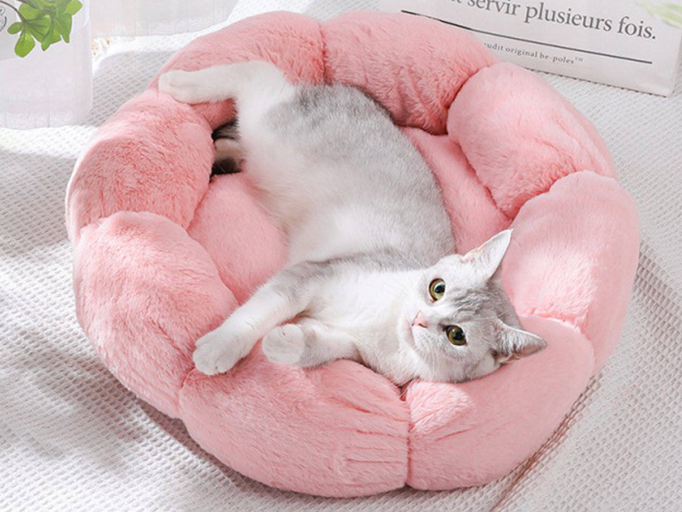 Flower Shape Pet Bed Cat Beds Dog Bed Cats Calming Pet Beds Round Dog Bed