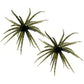 2 PCS Lifelike Floating Sea Urchin Soft Bait with Glitter Tentacle Creature Lure for Fishing