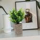 3Pcs Mini Potted Artificial Plastic Green Plants