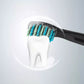 Electric Sonic Toothbrush Travel Rechargeable Ultrasonic Electric Toothbrush with 10 Brush Heads