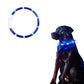 Led Dog Night Luminous Charge Collar-Blue