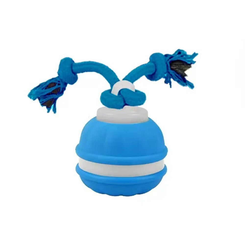 Motion Activated Interactive Dog Ball Toy