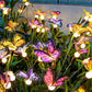 Solar Butterfly Garden Lights with 12 Stems for Outdoor Decor – IP65 Waterproof, Vibrant Illumination
