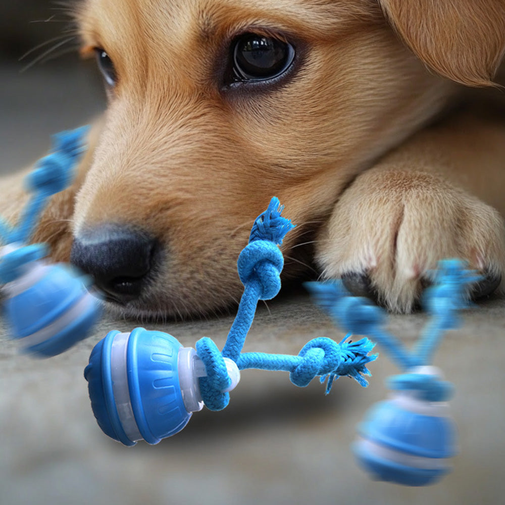 Interactive Dog Ball Toy Electronic Rolling Ball Rope Chew Toy