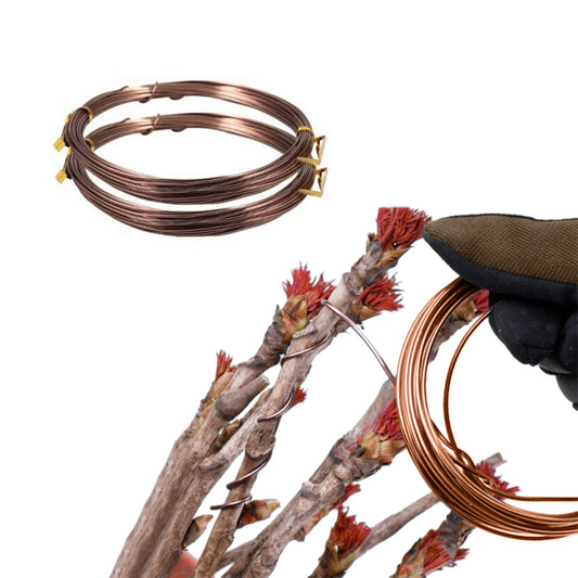 2 Rolls Anodized Aluminum Bonsai Training Wires