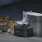 Pet Water Fountain Smart Automatic Rechargeable Water Dispenser for Car Dog