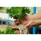 42Pcs Soilless Cultivation Rock Wool Substrate Seedling Grow Cubes Vegetable Planting Cube