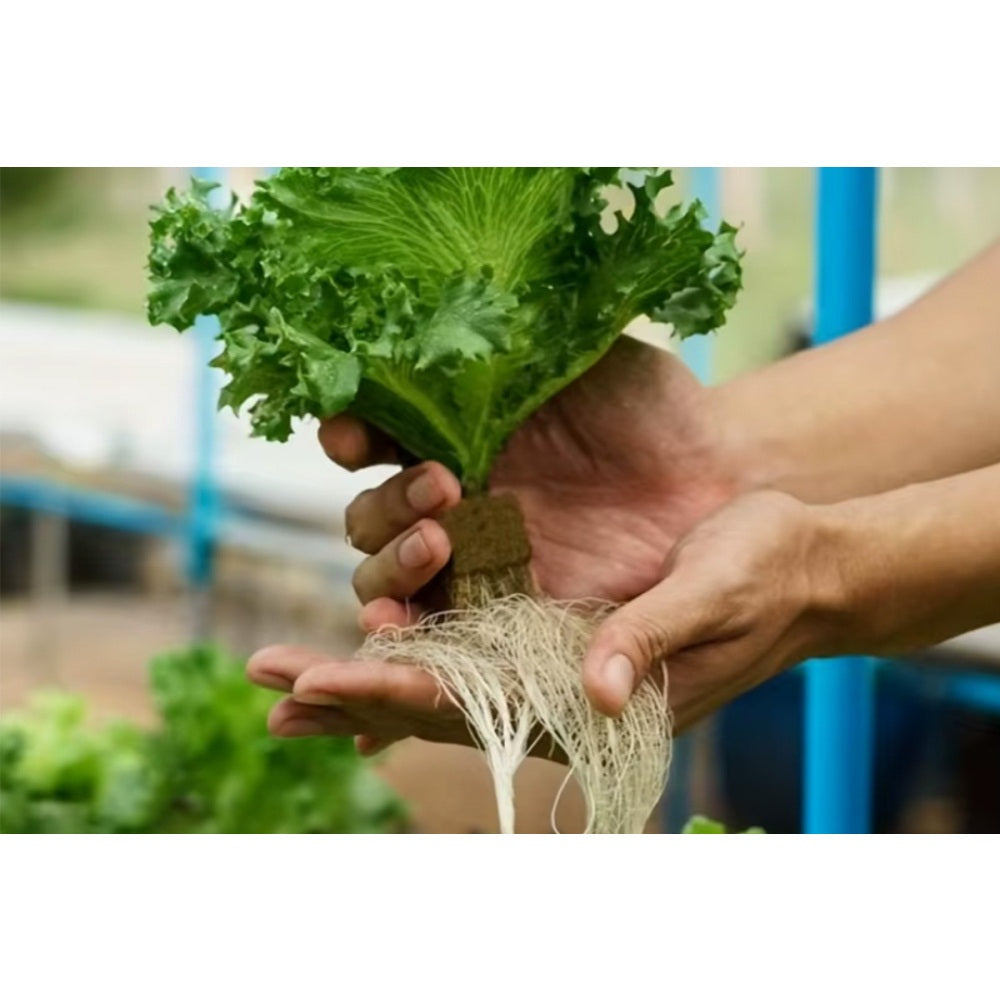 42Pcs Soilless Cultivation Rock Wool Substrate Seedling Grow Cubes Vegetable Planting Cube