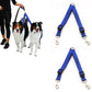 2Pcs Dual Dog Leash with One Lead Coupler Nylon Harness