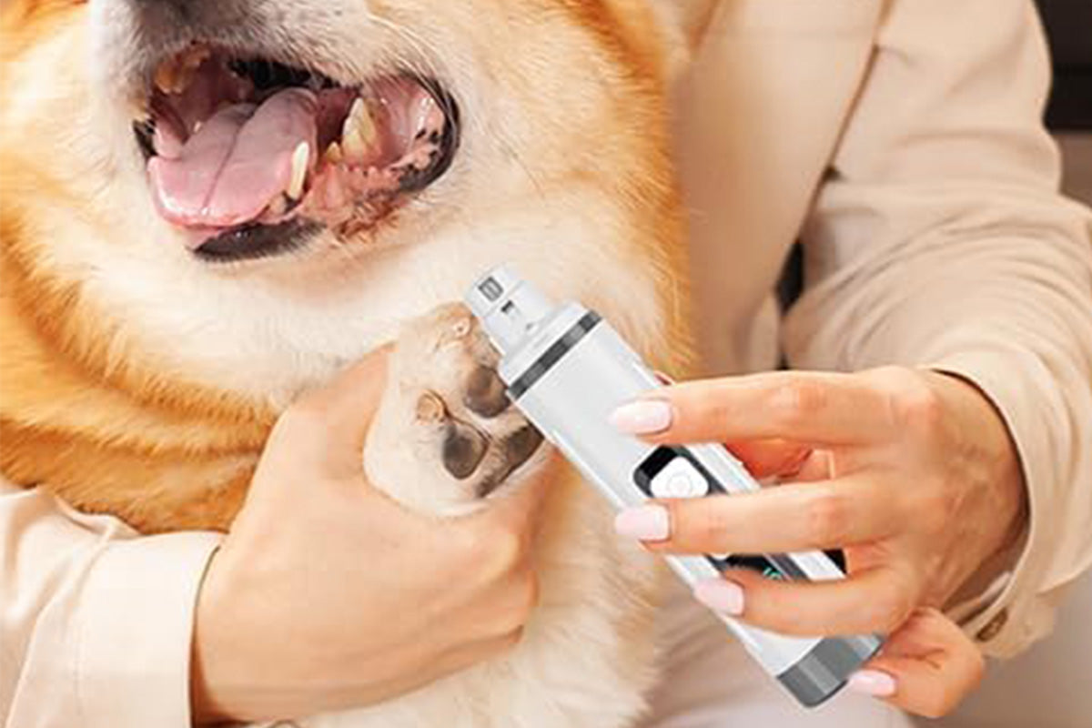Pet Nail Grinder with LED Light Rechargeable Dog Cat Nail Trimmer