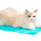 Cat Self Grooming Mat Itching Mat Self Massage Pad for Floor