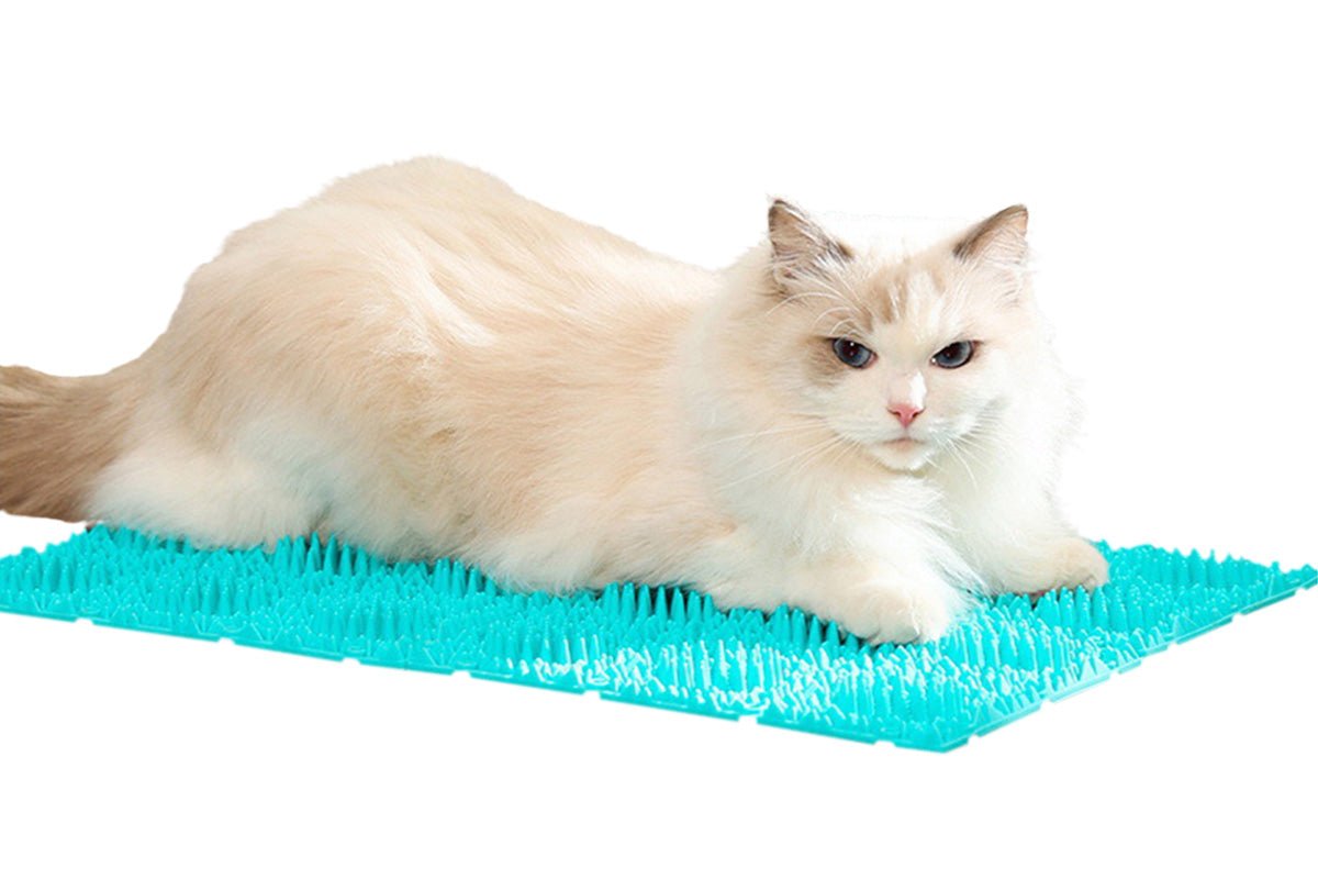 Cat Self Grooming Mat Itching Mat Self Massage Pad for Floor