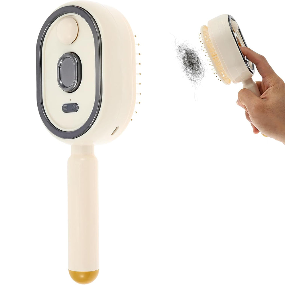 Electric Steam Hair Brush Mist Spray Cushion Comb