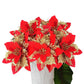 12Pcs Christmas Glitter Poinsettia Artificial Flower with Clip and Stem