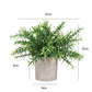 3Pcs Mini Potted Artificial Plastic Green Plants