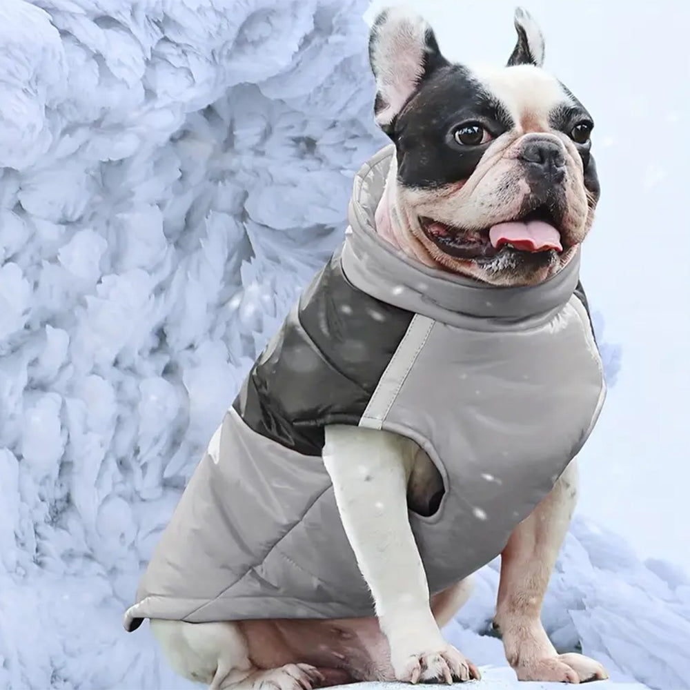 Pet Winter Warm Coat with Reflective Padded