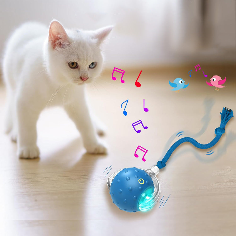 Automatic Rolling Ball Motion Activated Smart Rolling Cat Toy Ball