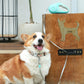 2Pcs RGB 5M Extendable Retractable LED Training Lead Rope Pet Leash