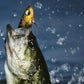 Fishing Advent Calendar Christmas Countdown Calendar Fishing Tackle Lures Gifts