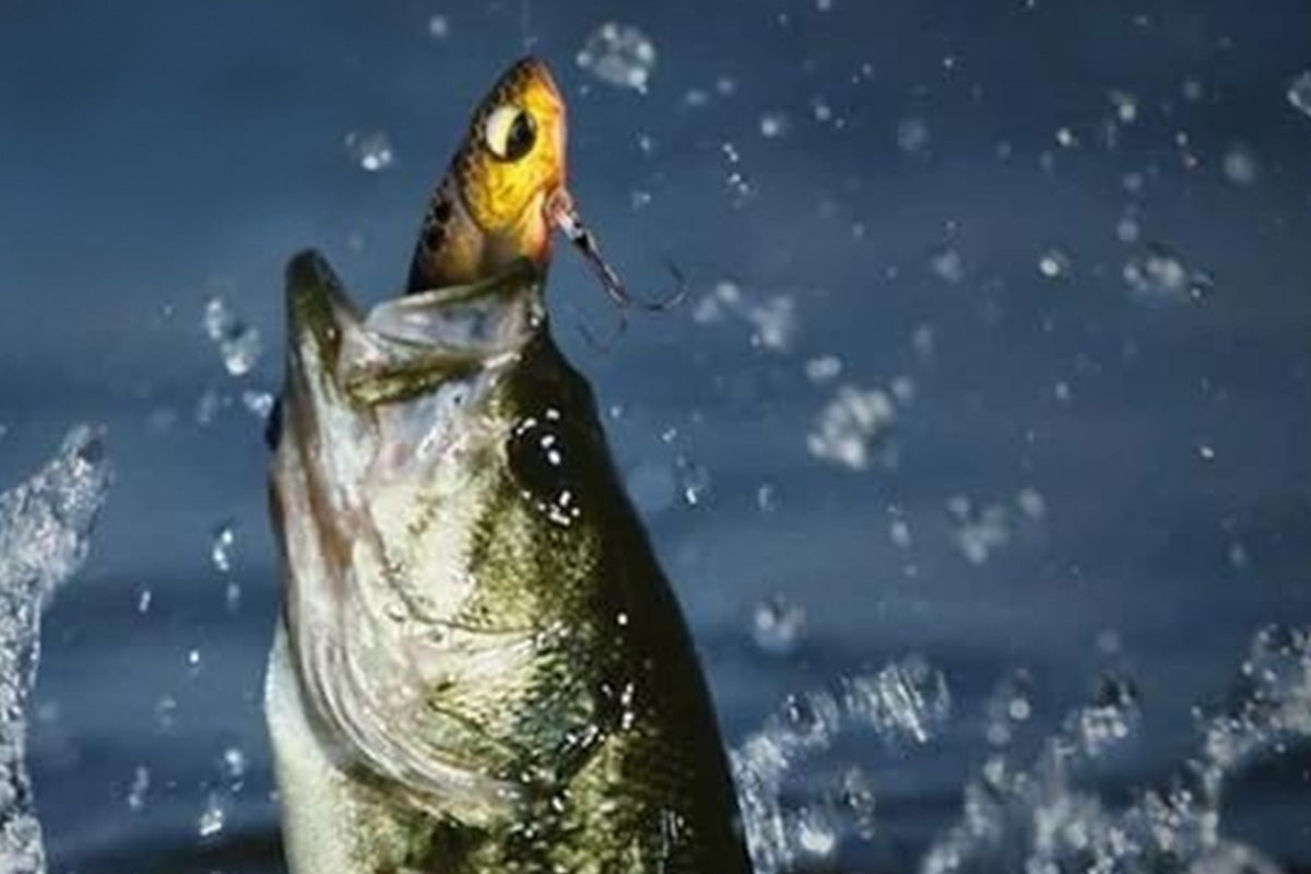 Fishing Advent Calendar Christmas Countdown Calendar Fishing Tackle Lures Gifts