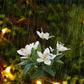 7 Head Solar Orchid Lamp