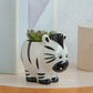 12pcs Cute Animal Shaped Plant Succulent Pots