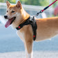 No-Pull Pet Dog Harness with Handle Adjustable Padded Vest