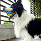 4Pcs 6.5CM Pet Interactive Playing Toy High Bouncy Vibrant Color Squeaky Rubber Balls