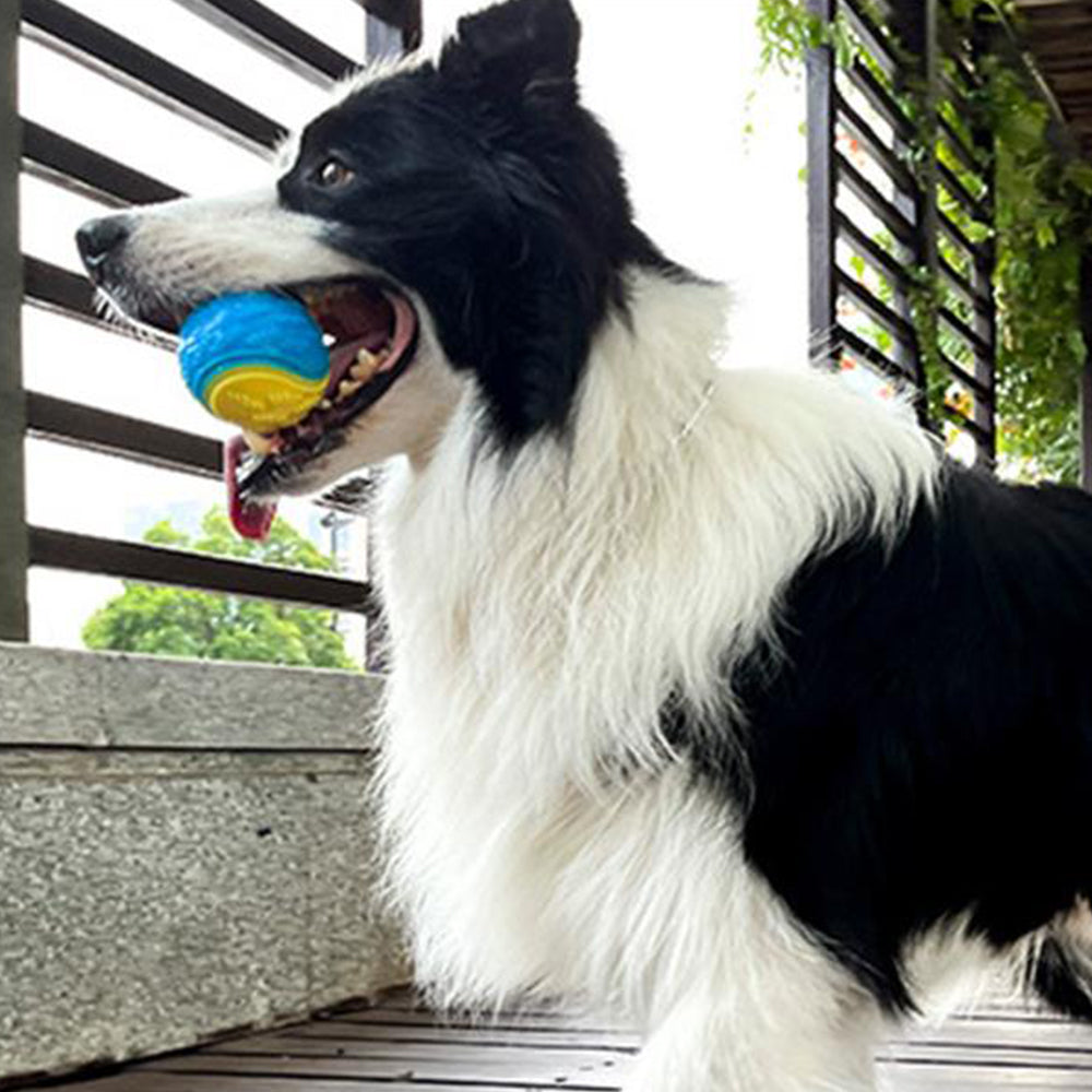 4Pcs 6.5CM Pet Interactive Playing Toy High Bouncy Vibrant Color Squeaky Rubber Balls