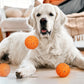 3 Mode Automatic Moving Rotating Dog Toy Ball for Medium and Large Dogs