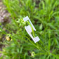 20Pcs Plant Clips for Low Stress Training 360 Degree Adjustable Plant Stem Branches