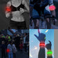 2Pcs LED Light-Up Armband Security Belt Night Running Cycling Arm Band