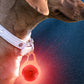 Dog Collar Light Rechargeable LED Water Resistance with 4 Modes for Night Walking