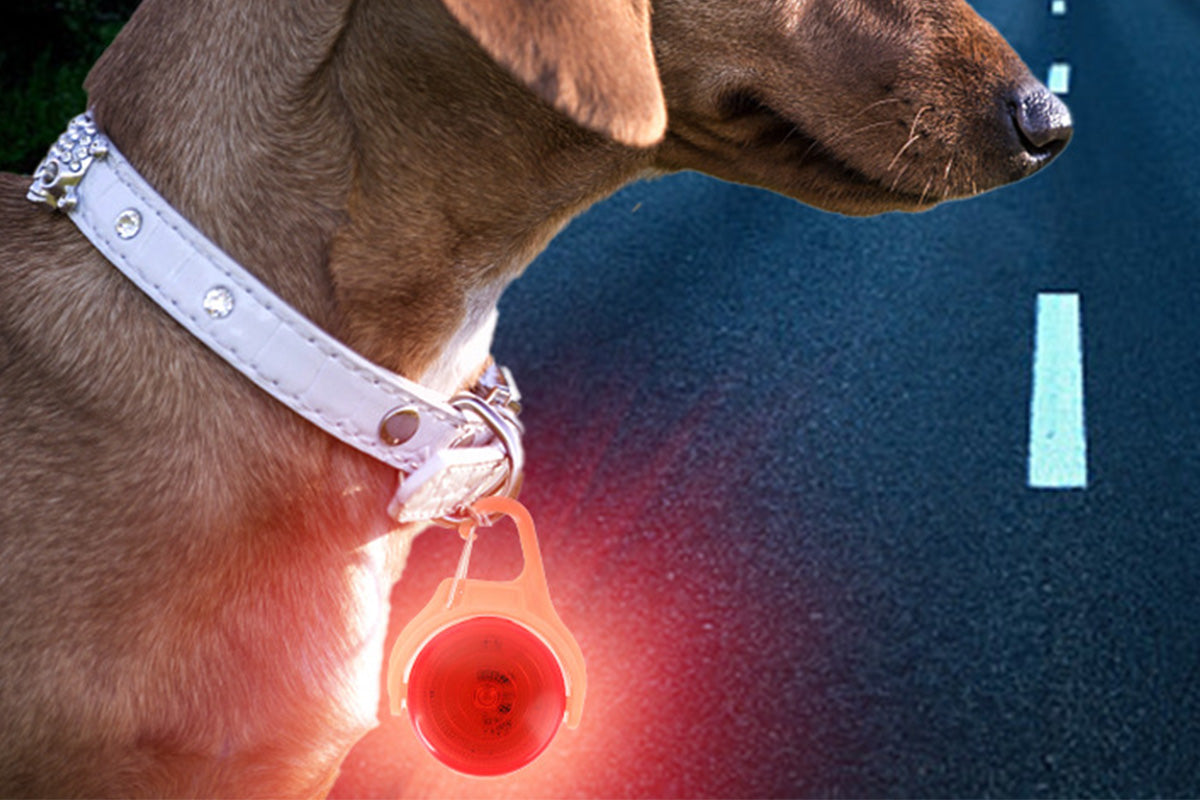 Dog Collar Light Rechargeable LED Water Resistance with 4 Modes for Night Walking